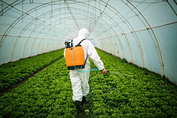 Best Affordable Pest Control Services  in , NH