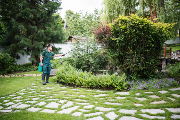 Best Pest Inspection Near Me  in , NH