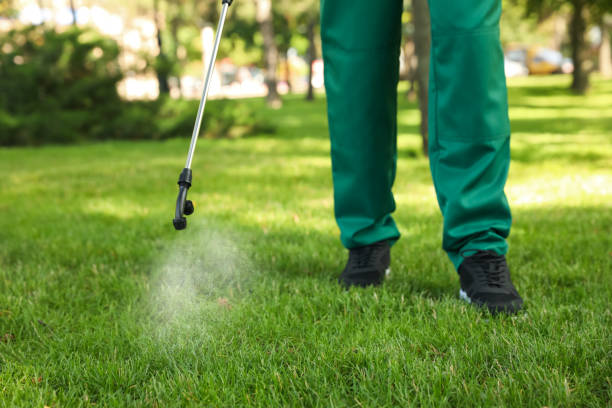 Best Mosquito Control Services  in , NH