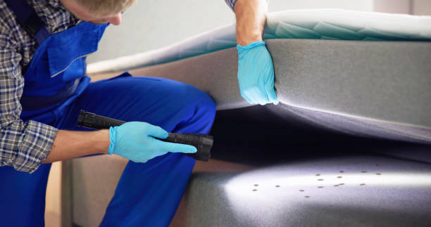 Best Termite Control Services  in , NH