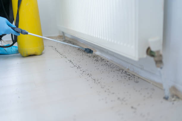 Best Pest Prevention Services  in , NH