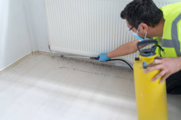 Best Pest Control Treatment  in , NH